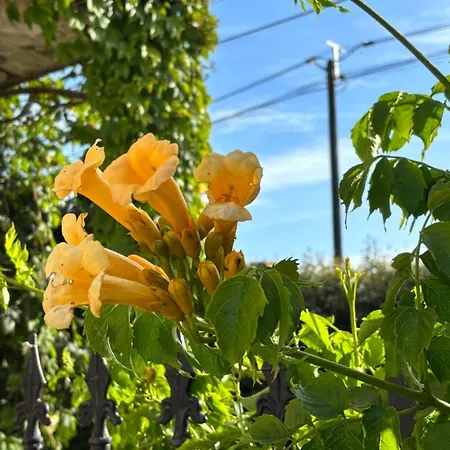 Apartment L'aiguade 4 *